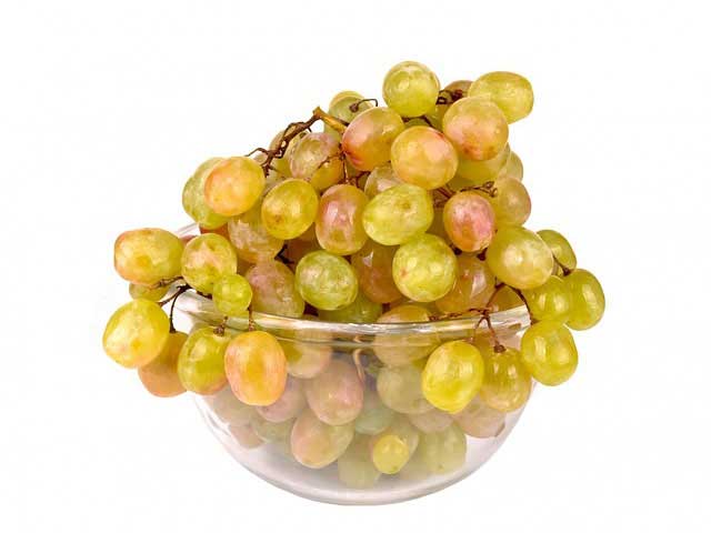 在线打电话免费网页版